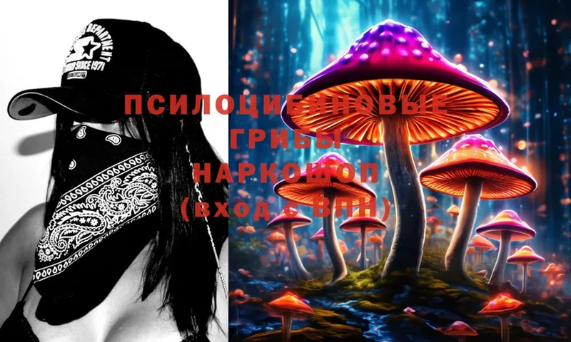 ссылка на мегу как зайти  Никольское  Псилоцибиновые грибы MAGIC MUSHROOMS 